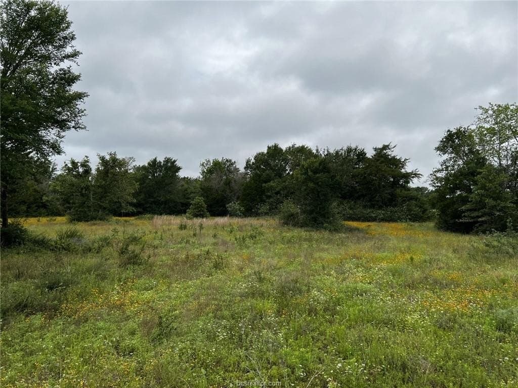 2.39 acres in Brazos County gallery image 2