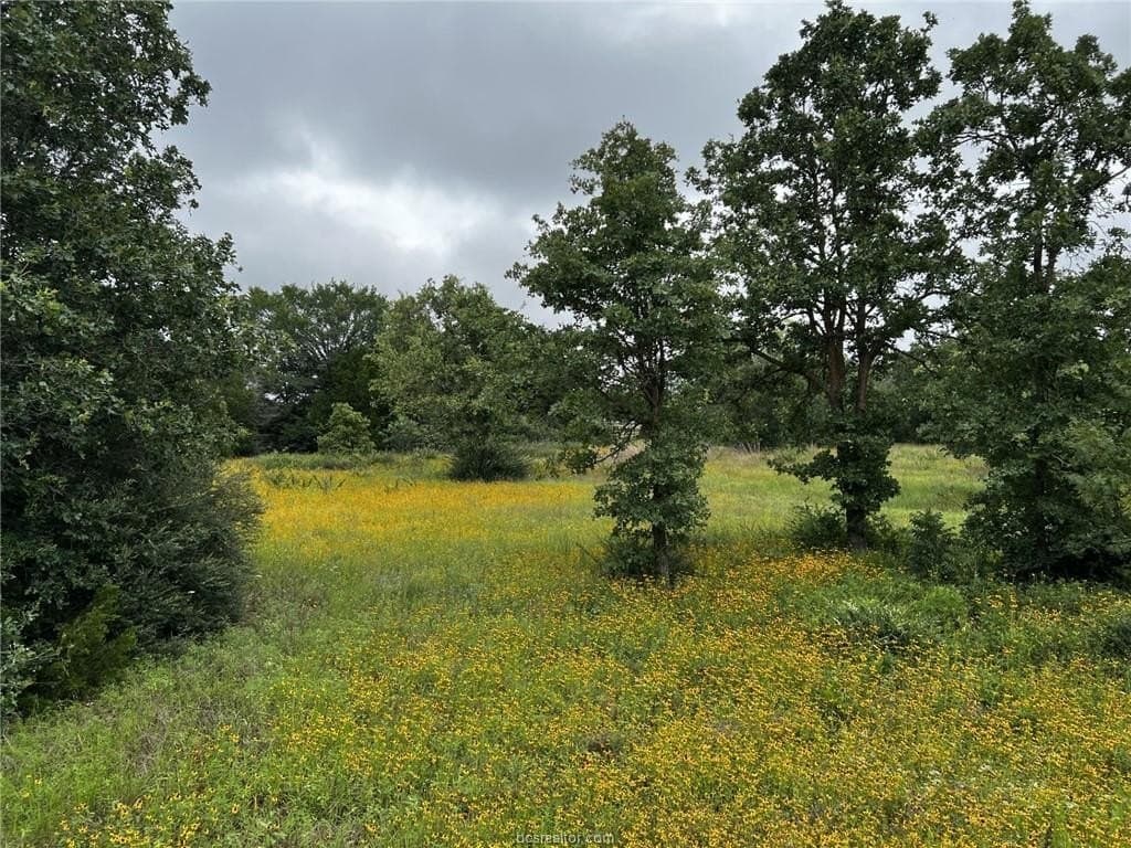 2.39 acres in Brazos County gallery image 3
