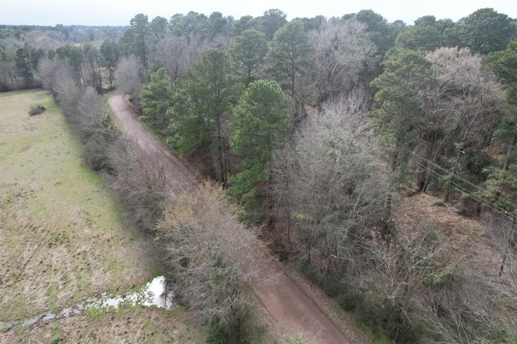 34.4 acres in Rusk County gallery image 4