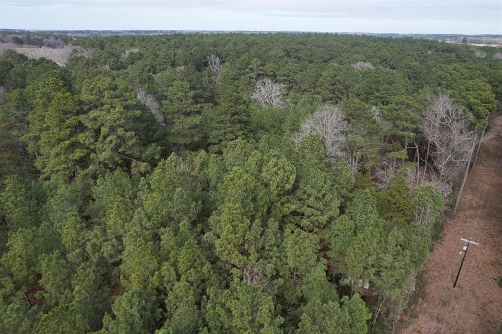 34.4 acres in Rusk County featured view