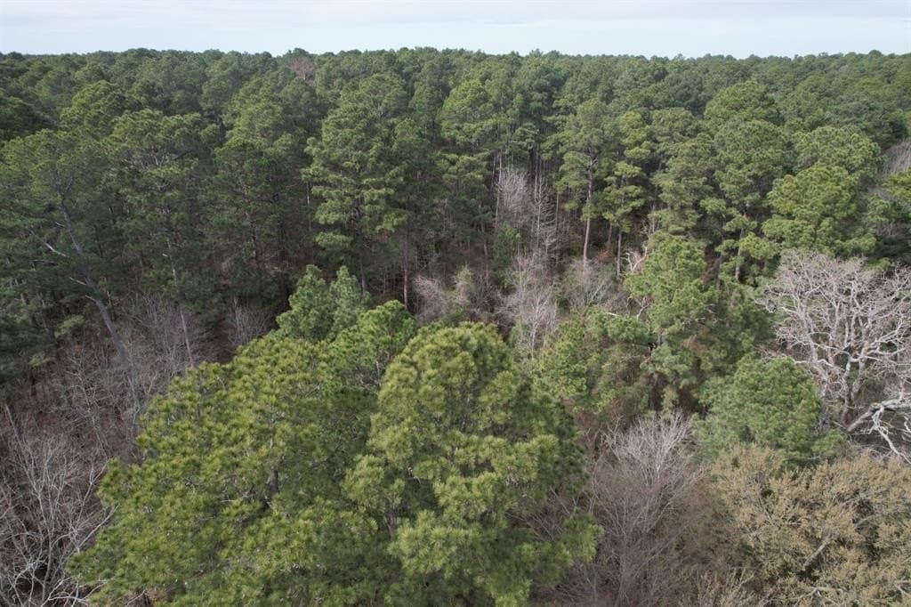 34.4 acres in Rusk County gallery image 3