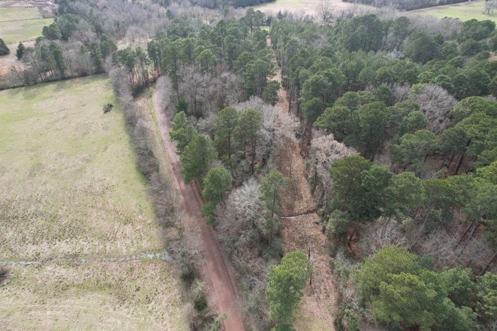 34.4 acres in Rusk County gallery image 2