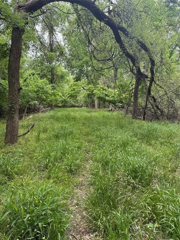 2 acres in Wise County gallery image 2