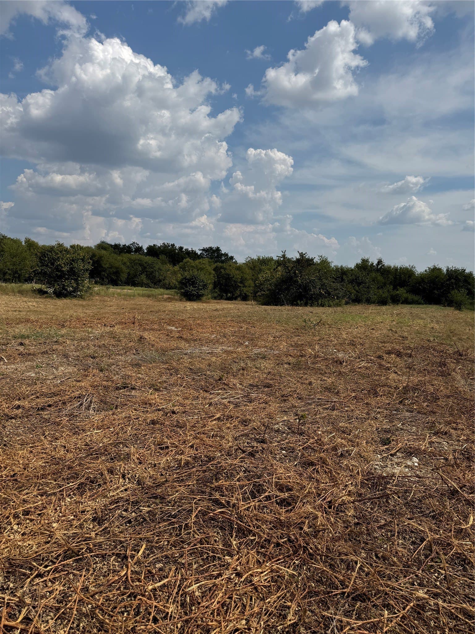 2 acres in Hill County gallery image 3