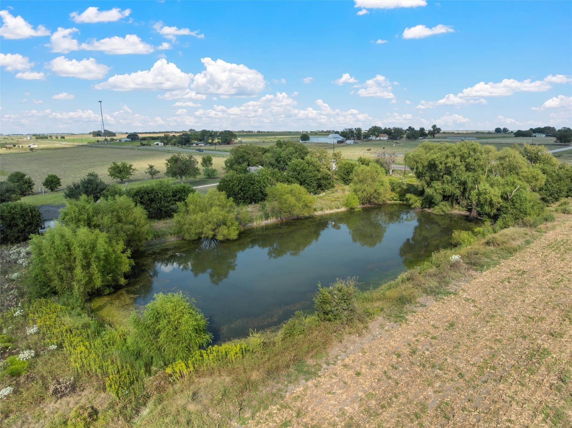 28.6 acres in Bell County - photo 8