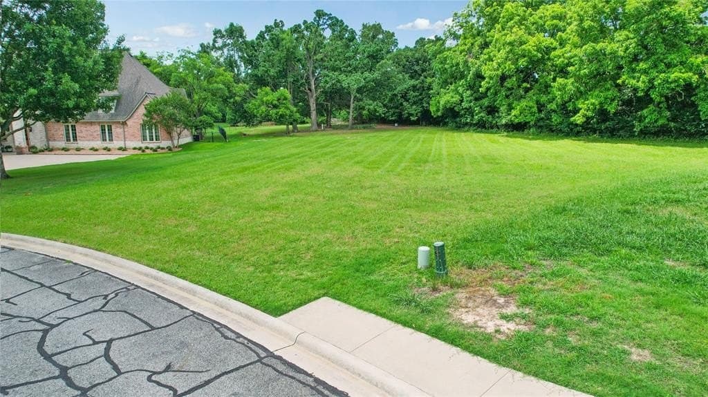 0.62 acres in Fannin County gallery image 4