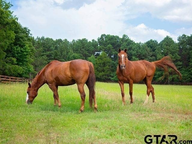 1.55 acres in Anderson County - photo 7