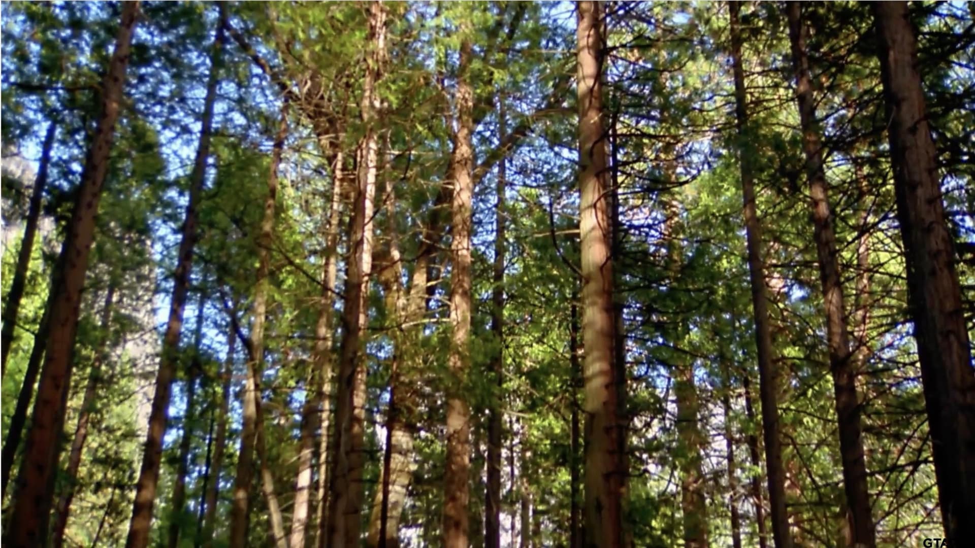1.55 acres in Anderson County - photo 24