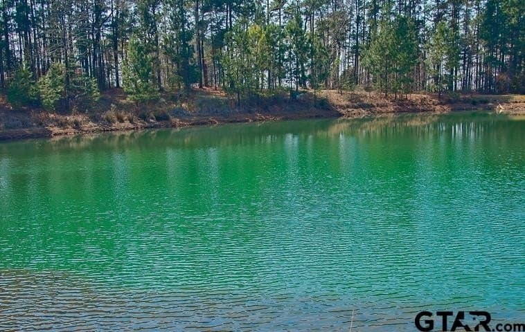 1.55 acres in Anderson County - photo 19
