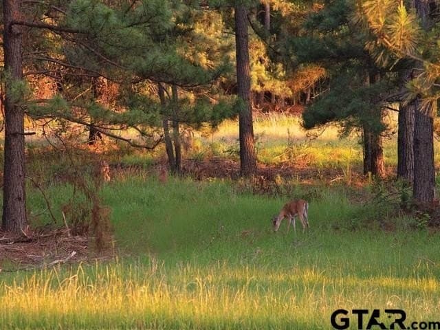 1.55 acres in Anderson County - photo 9