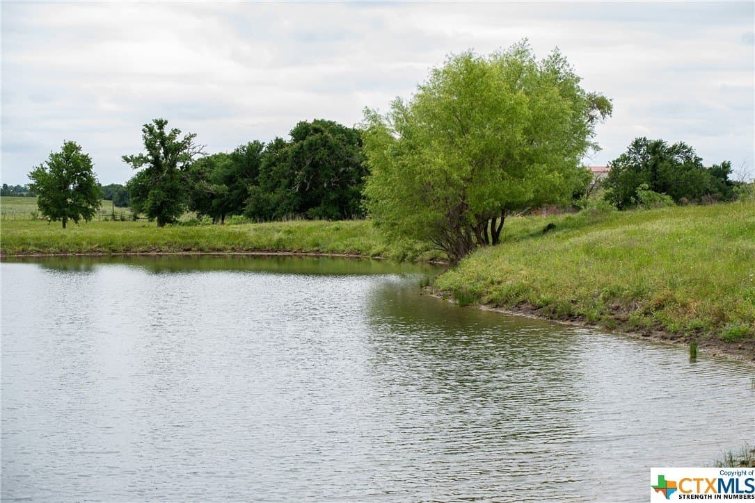 83.23 acres in Williamson County gallery image 4