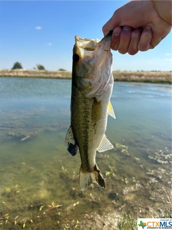 83.23 acres in Williamson County featured view