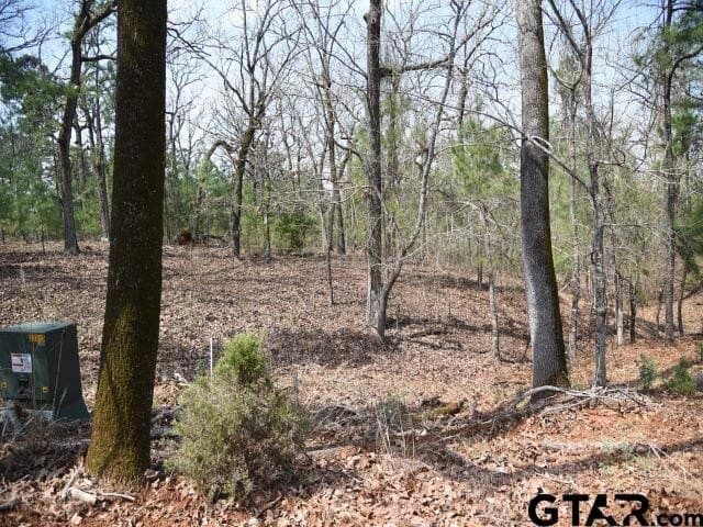 1.32 acres in Anderson County gallery image 2