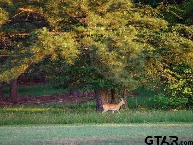 1.32 acres in Anderson County - photo 21