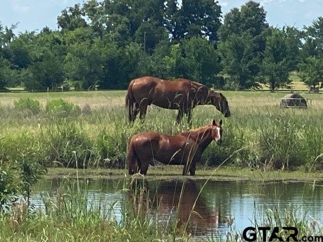 1.32 acres in Anderson County - photo 14