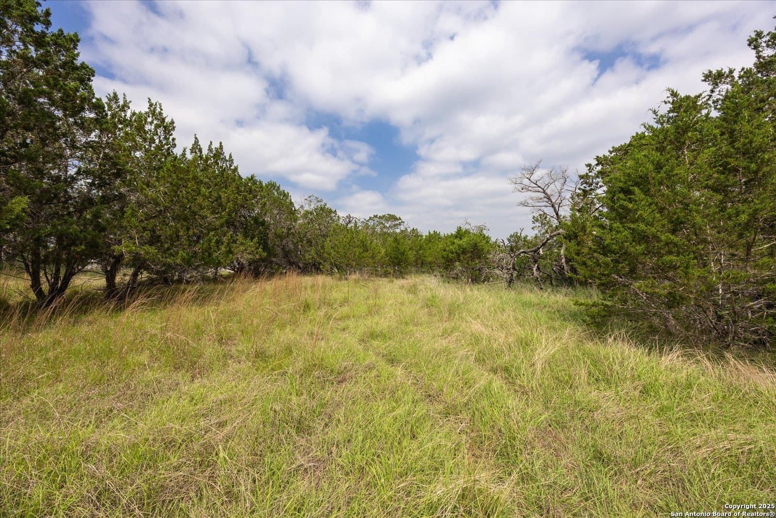 5.18 acres in Bandera County featured view