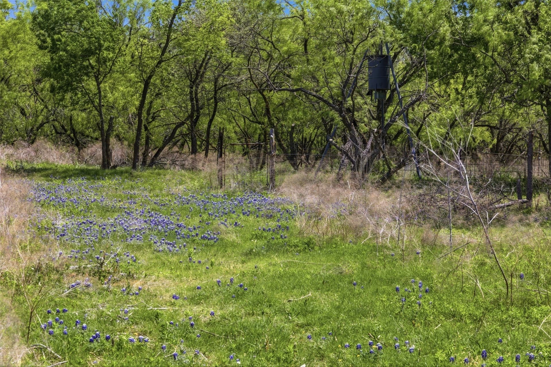 24 acres in Bell County - photo 16