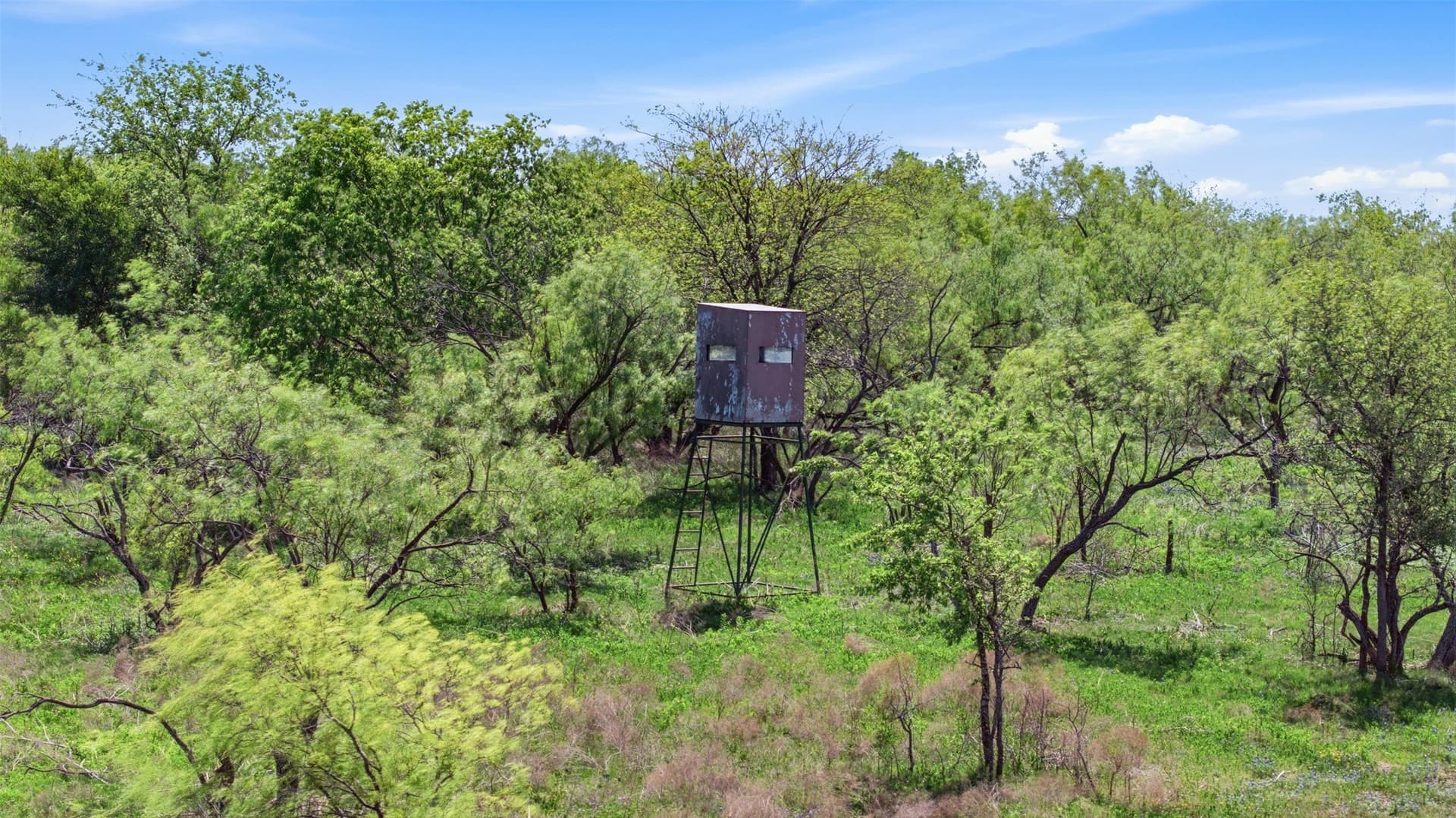 24 acres in Bell County - photo 8