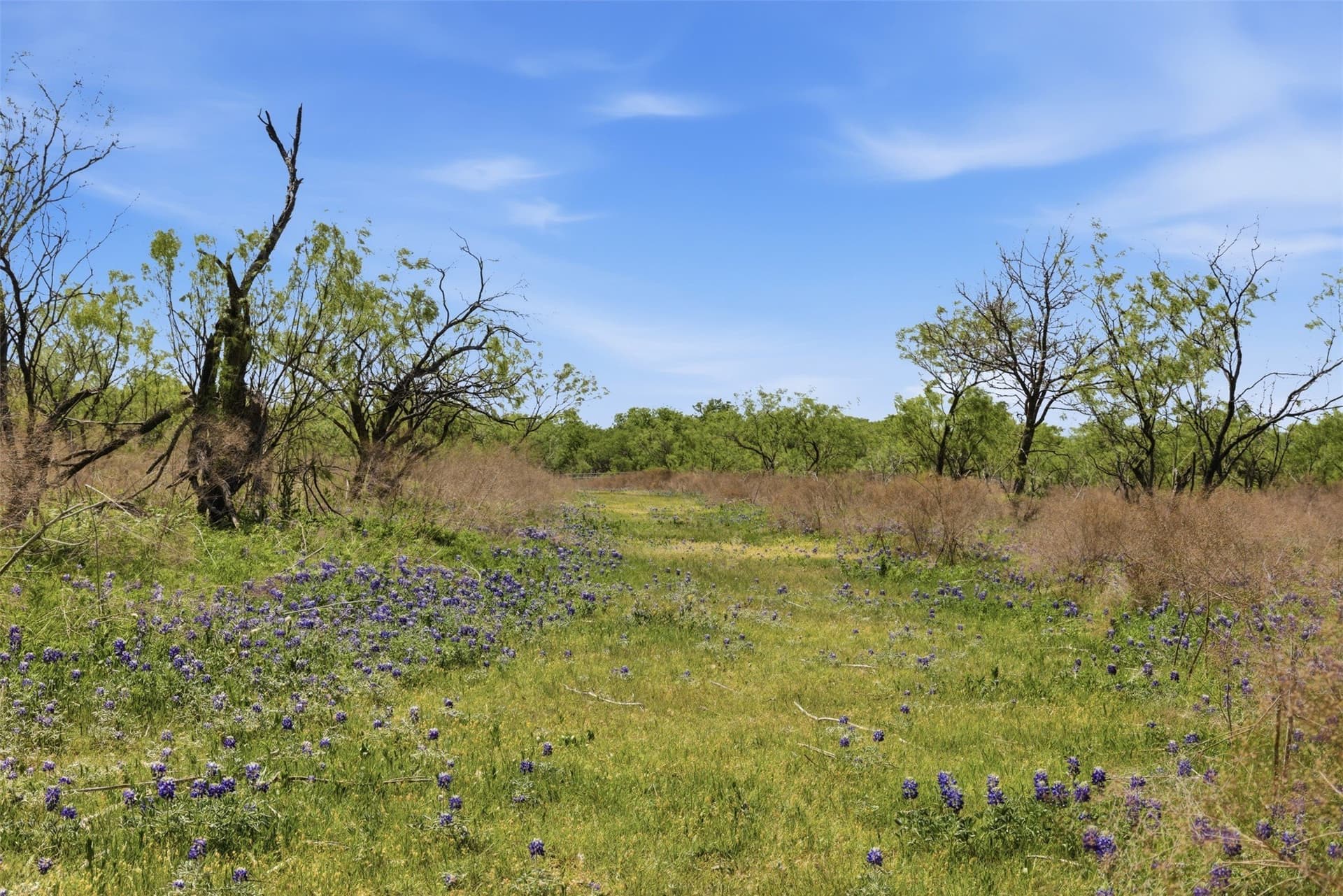 24 acres in Bell County - photo 18