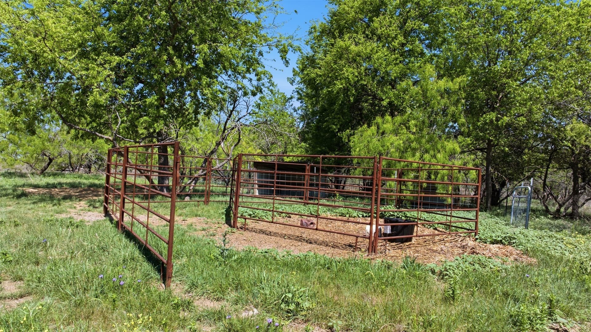 24 acres in Bell County - photo 3