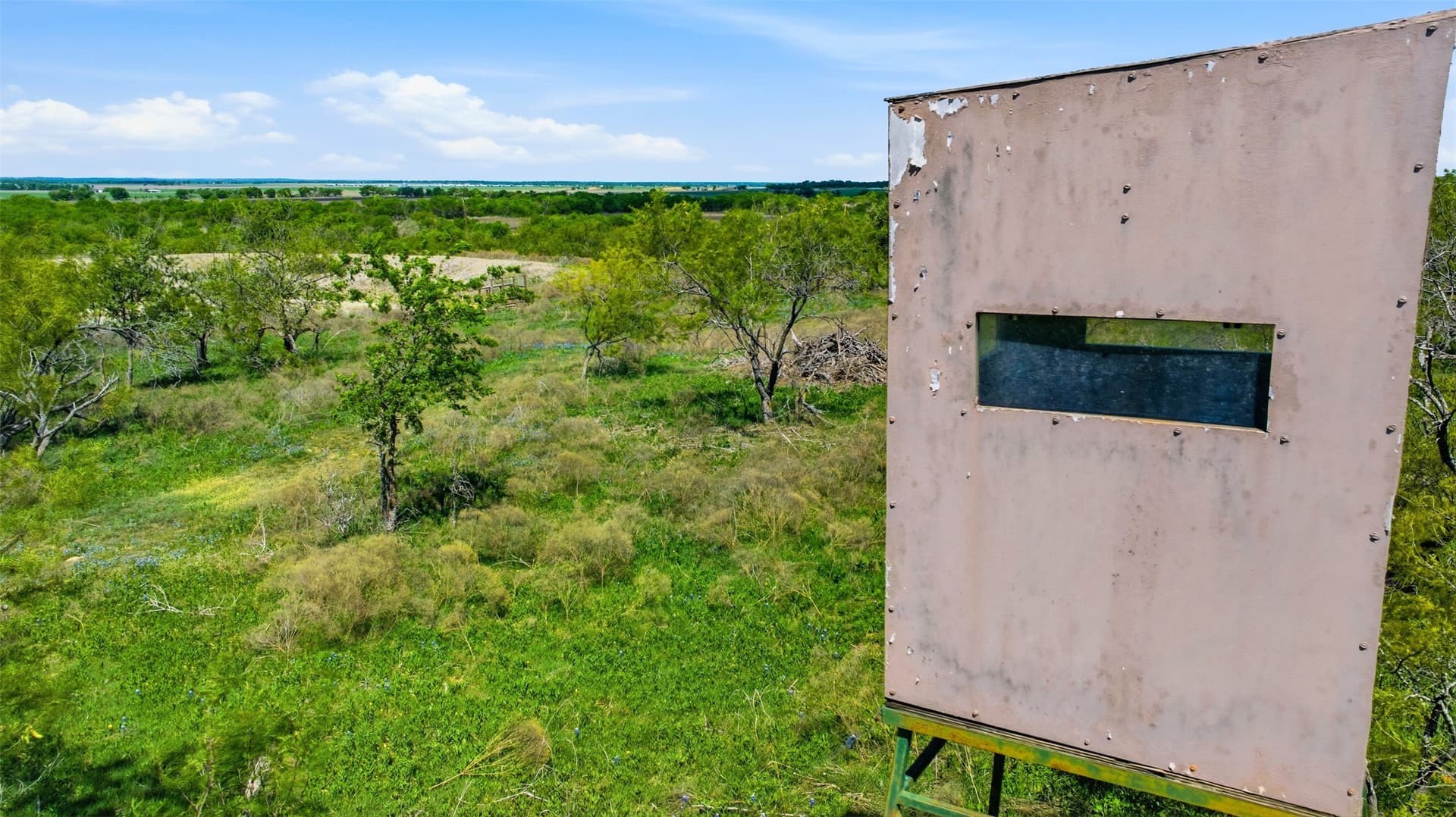24 acres in Bell County - photo 10