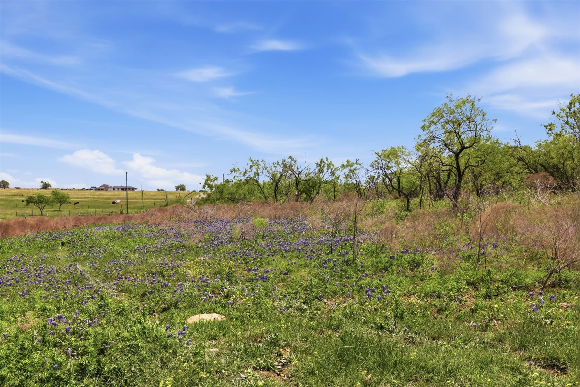 24 acres in Bell County - photo 2