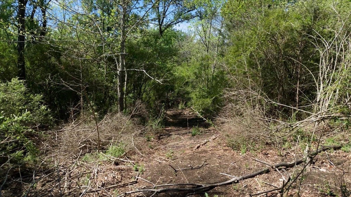 15 acres in Hunt County - photo 7