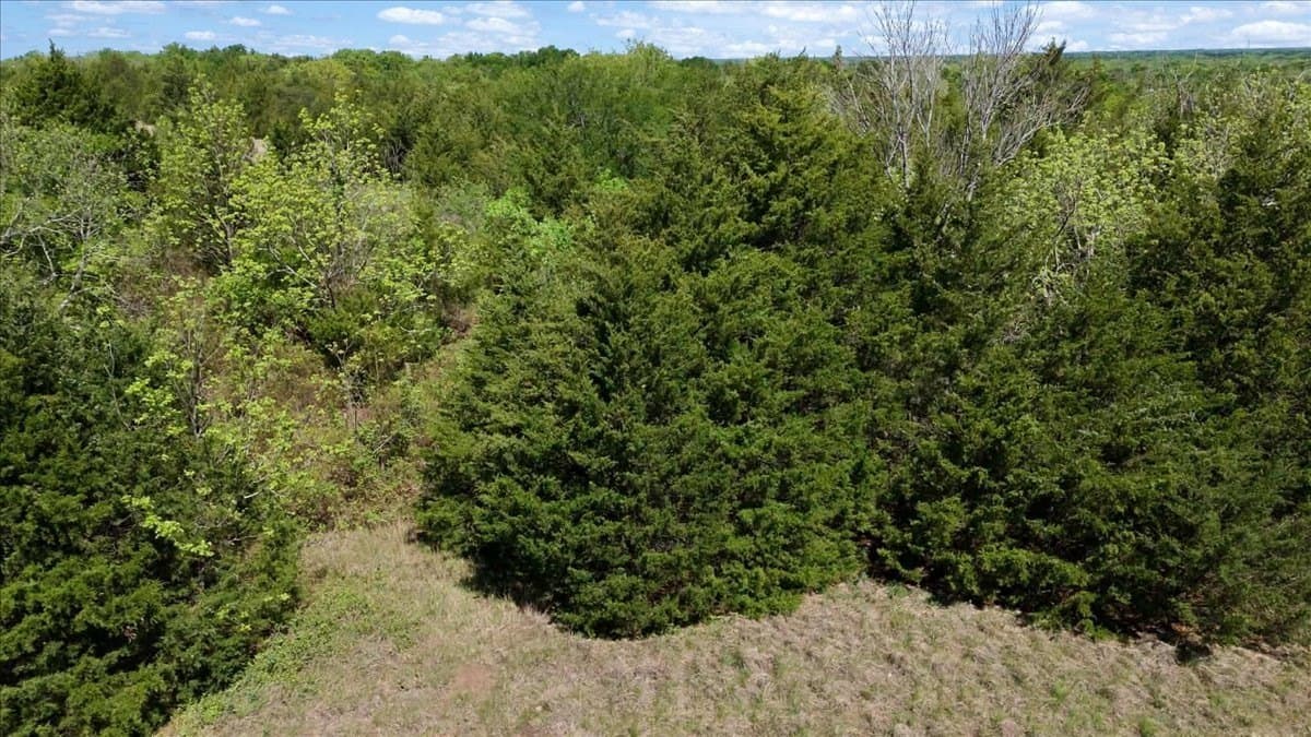 15 acres in Hunt County - photo 9