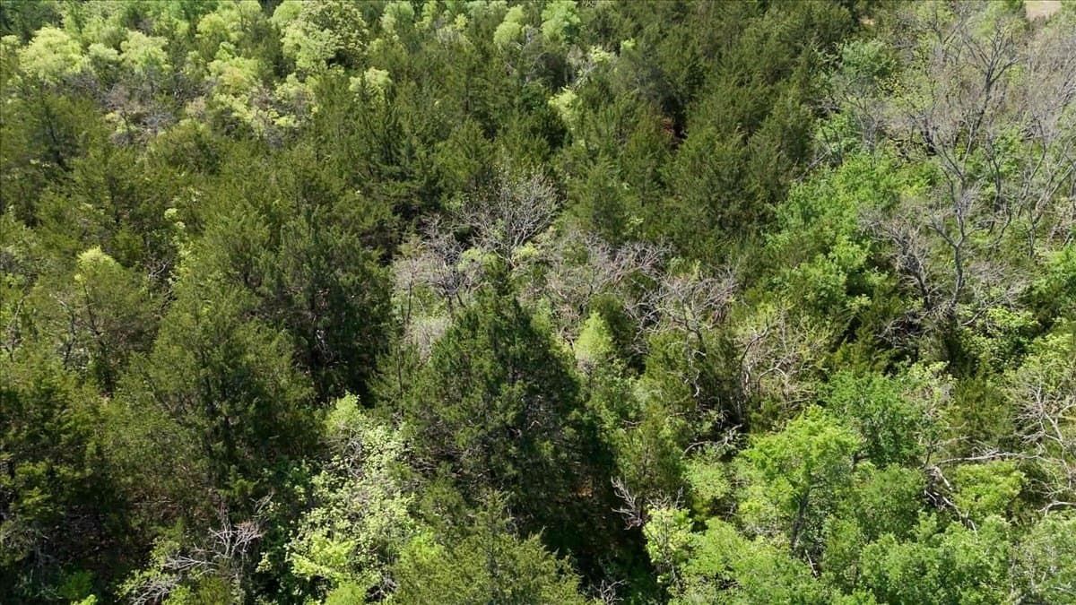 15 acres in Hunt County - photo 13