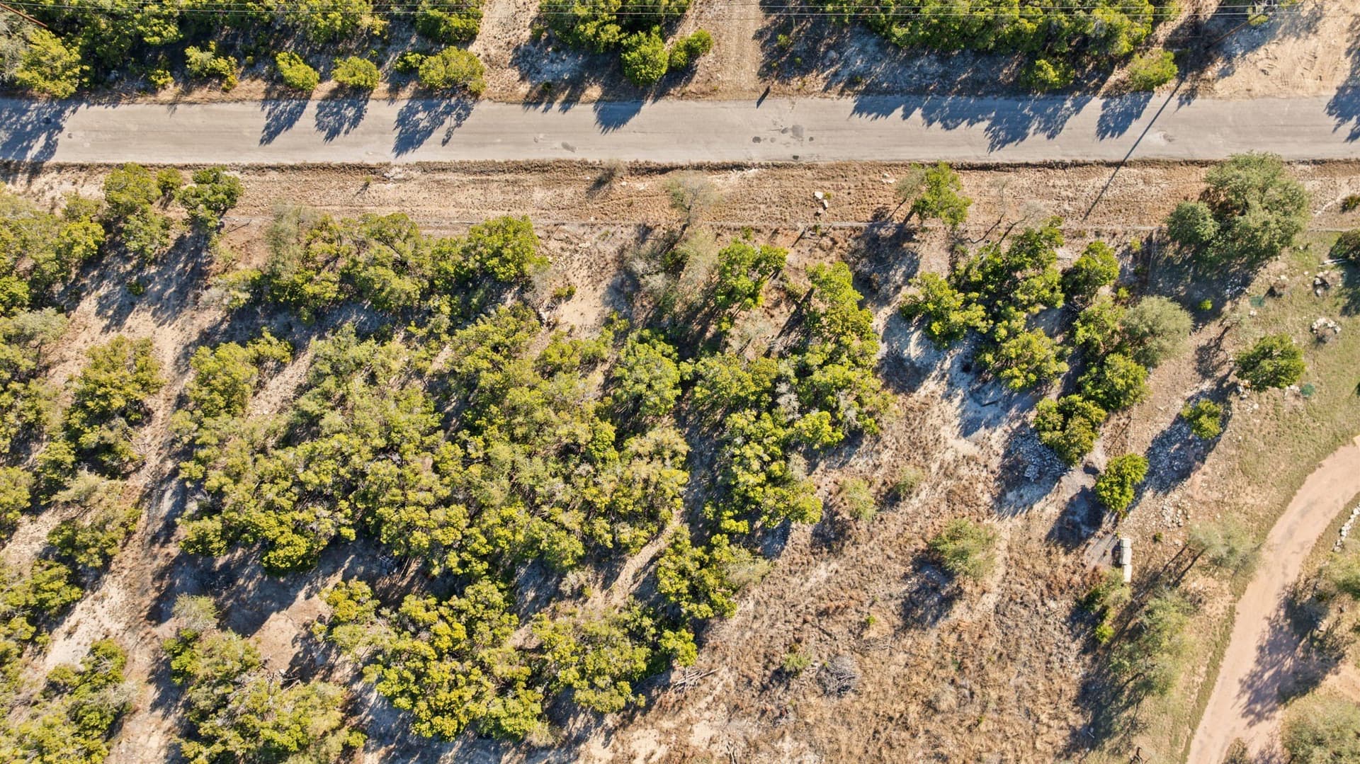 10.88 acres in Hays County - photo 17