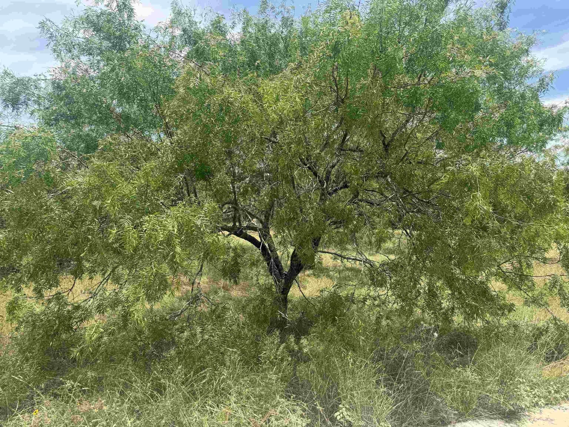 0.12 acres in Llano County