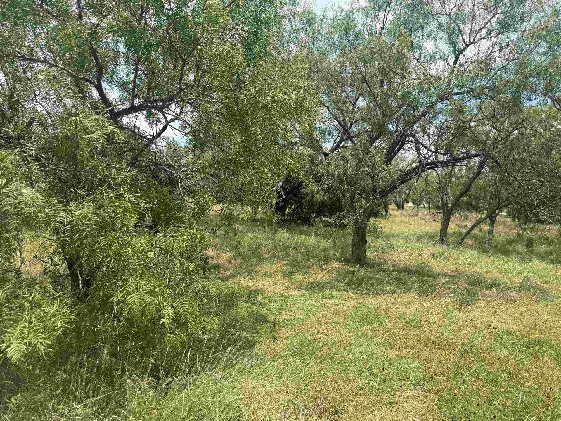 0.12 acres in Llano County gallery image 2