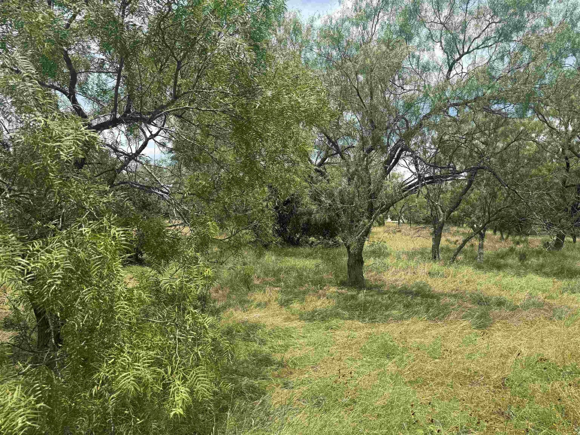 0.12 acres in Llano County gallery image 3