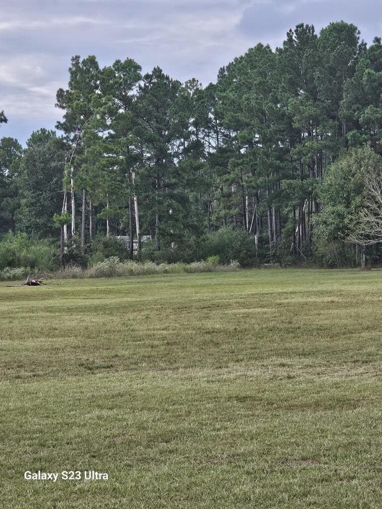 3 acres in Texas County - photo 12