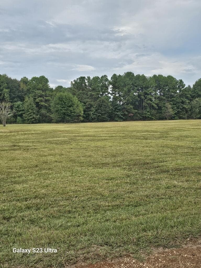 3 acres in Texas County - photo 8