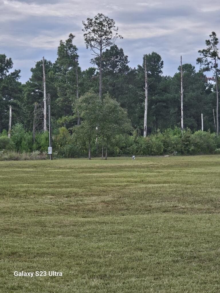 3 acres in Texas County - photo 11