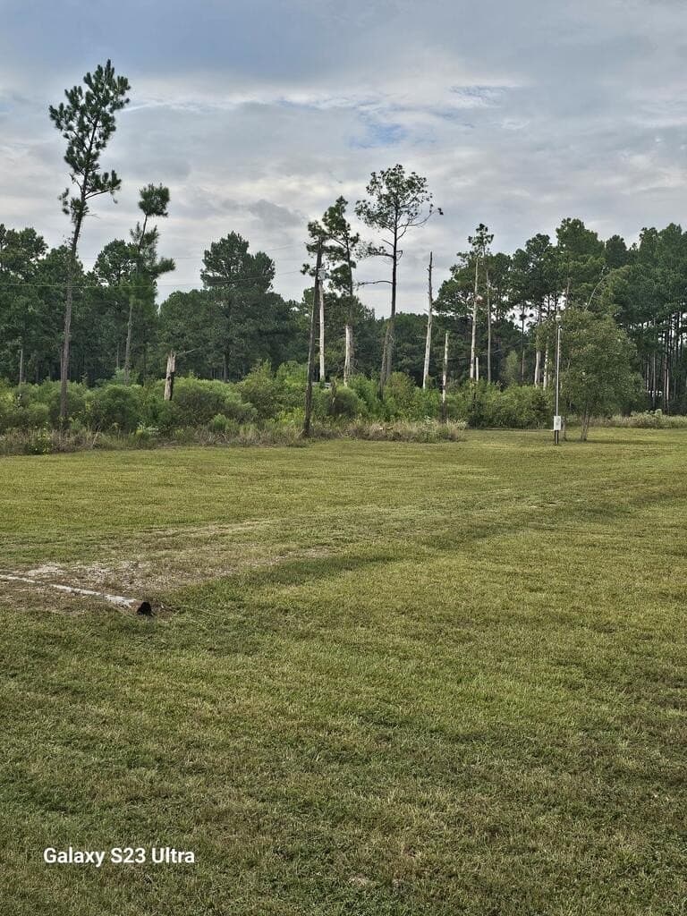 3 acres in Texas County - photo 4