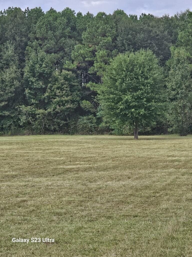 3 acres in Texas County - photo 9