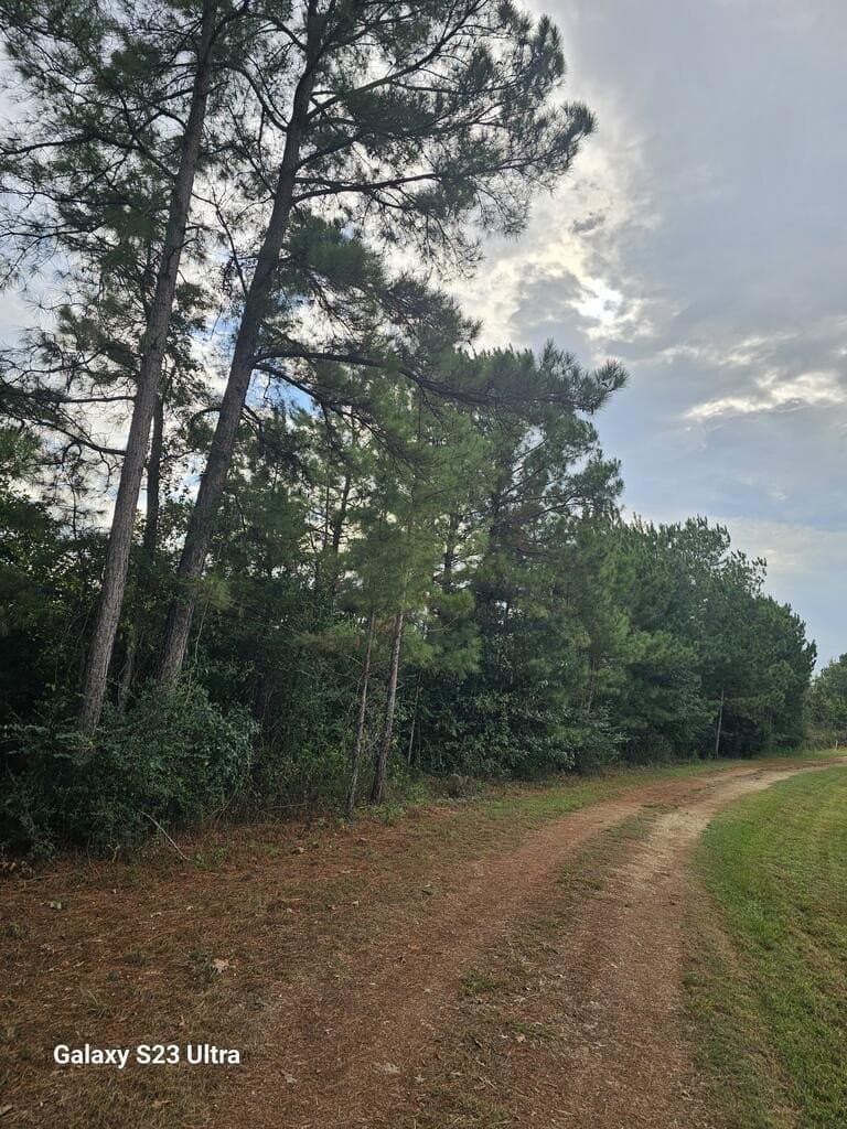 3 acres in Texas County - photo 10