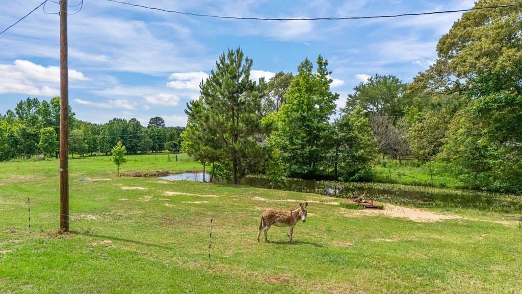 11.86 acres in Wood County featured view
