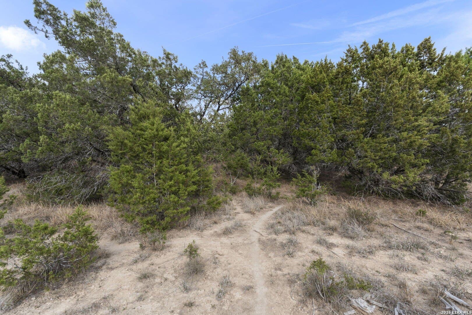 1.28 acres in Comal County - photo 14