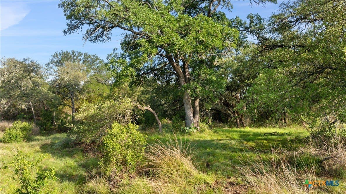3.38 acres in Blanco County - photo 17