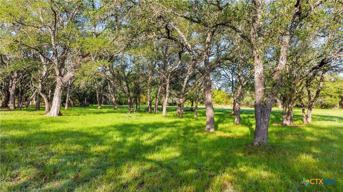 3.38 acres in Blanco County - photo 9