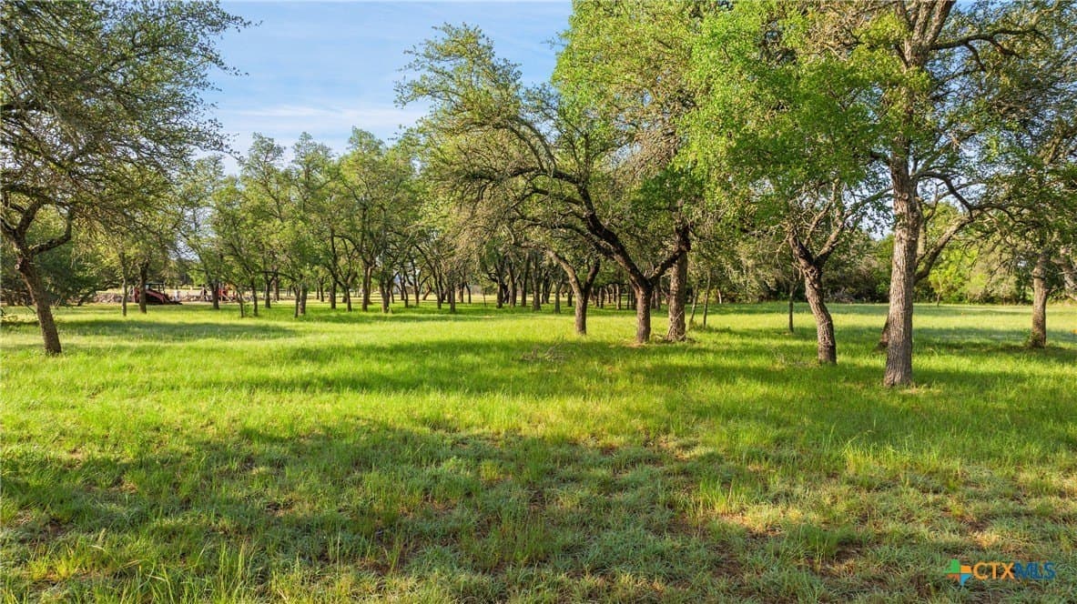 3.38 acres in Blanco County - photo 11