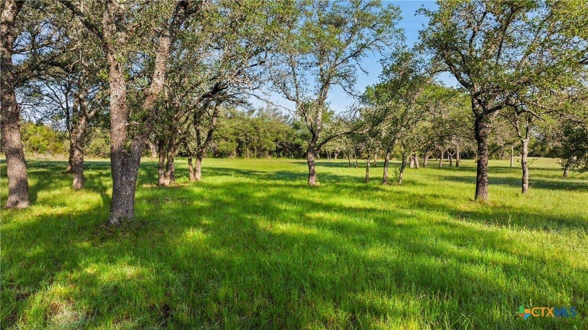 3.38 acres in Blanco County - photo 10