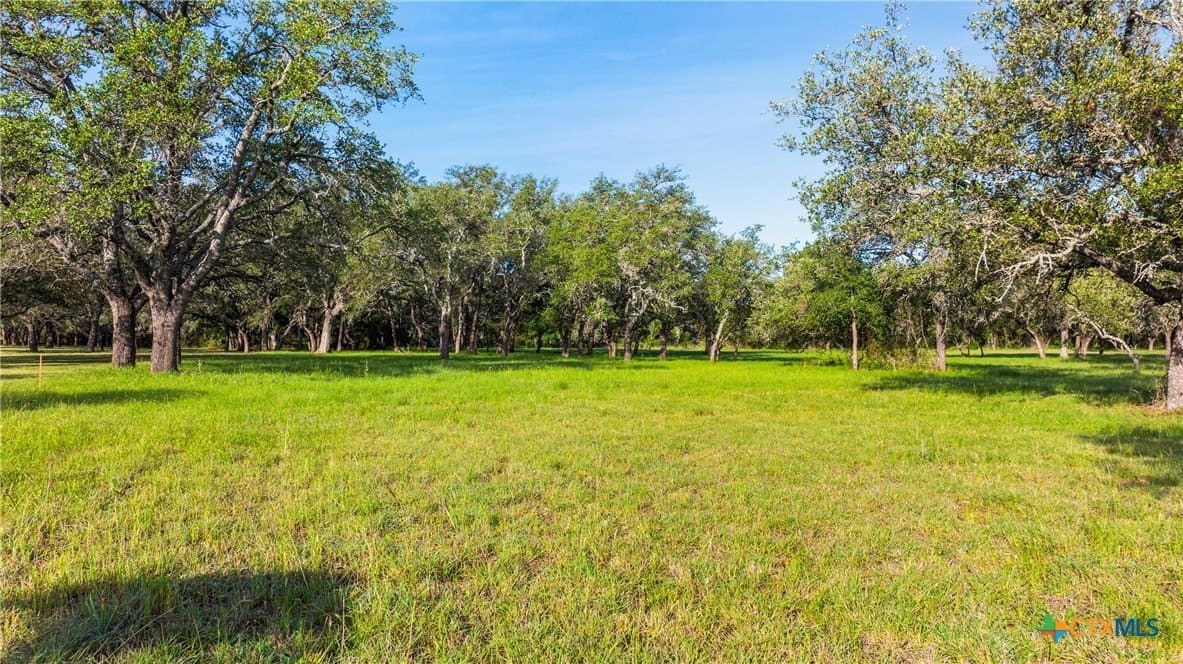 3.38 acres in Blanco County - photo 25