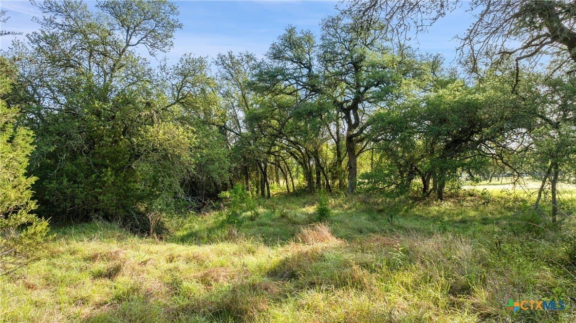 3.38 acres in Blanco County - photo 19