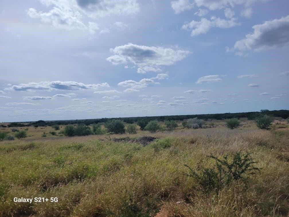 20 acres in WEBB County gallery image 4