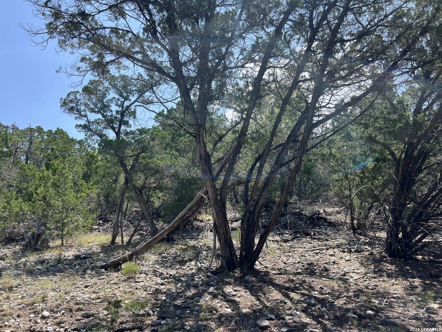 8.4 acres in Kerr County - photo 8