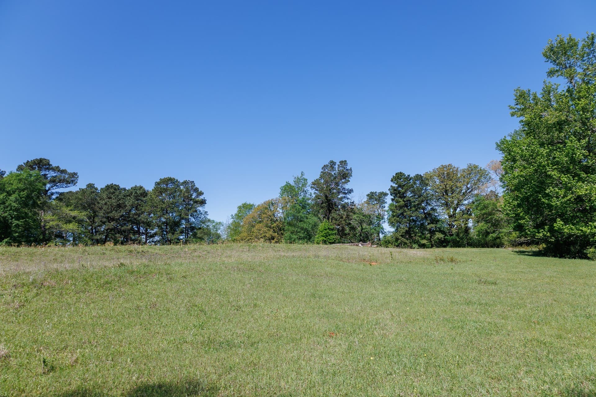 31.74 acres in Smith County - photo 22